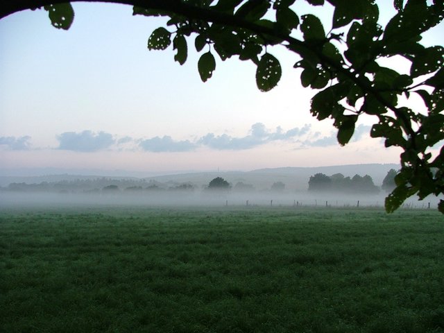 billede_200704_015.JPG