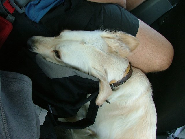 billede_200704_020.JPG