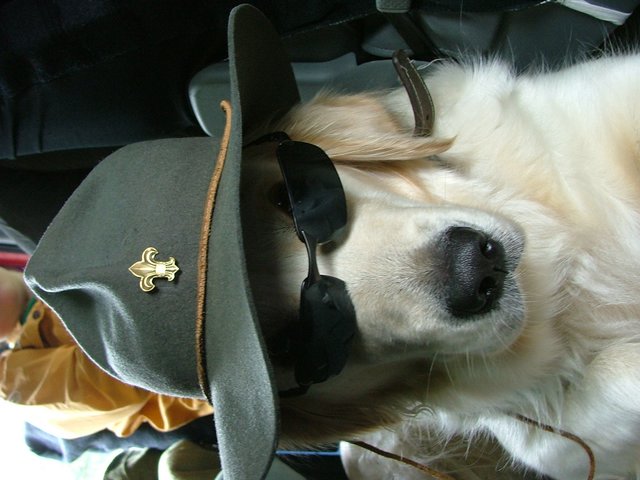 billede_200704_031.JPG