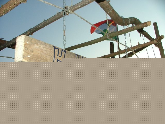 billede_200704_065.JPG