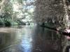 Click to view billede_280704_196_t1.jpg